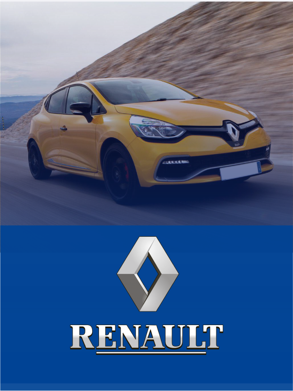 Renault car buyers